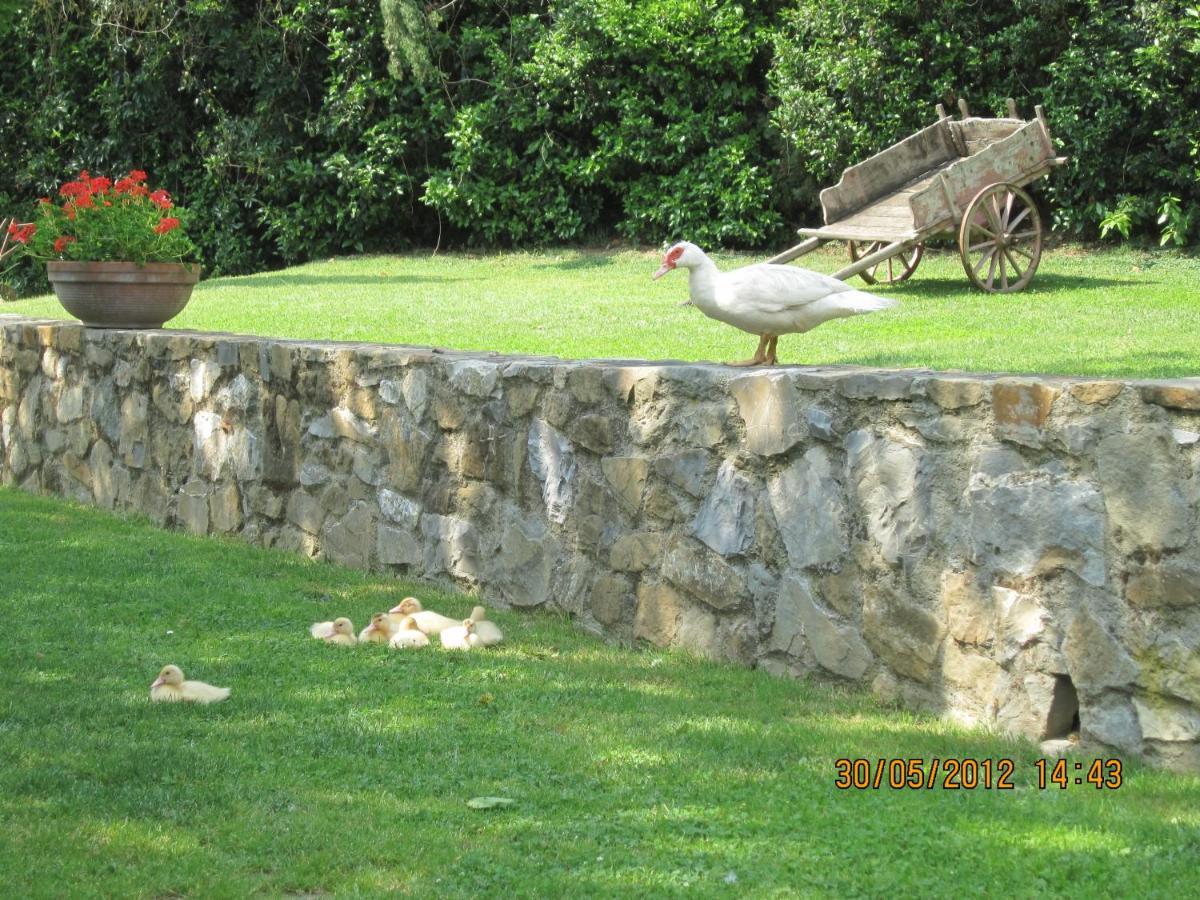 Agriturismo Conca Verde 스칸디치 외부 사진