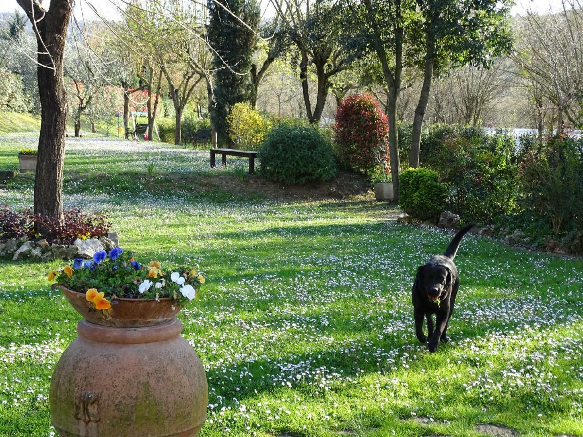 Agriturismo Conca Verde 스칸디치 외부 사진