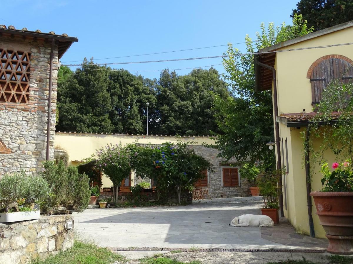 Agriturismo Conca Verde 스칸디치 외부 사진